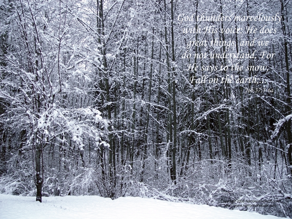 Free Christian Wallpaper: Snowfall