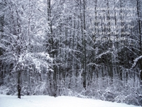 Free Christian Wallpaper: Snow Fall