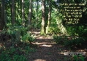Christian Wallpaper: Lead Me