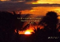 Christian Wallpaper: Jehovah's Name to be Praised